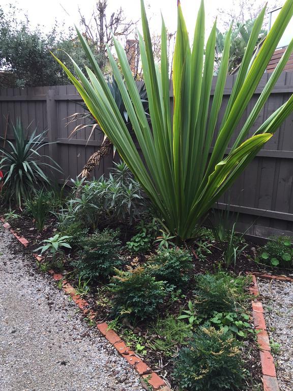 Garden Cottage St Kilda Melbourne Eksteriør billede